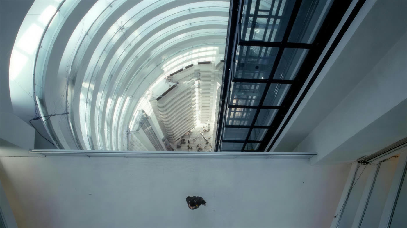 A glass elevator rising through an atrium, used as a heights exposure environment